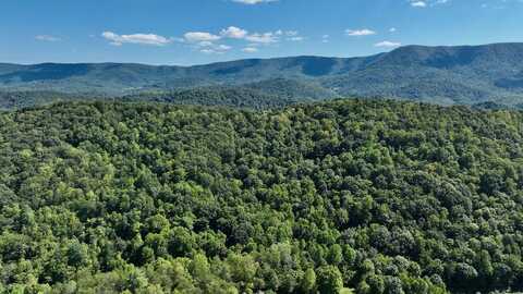 Possum Hollow Road, Oakvale, WV 24740