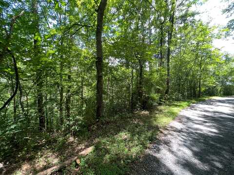 Lot 15 Michael Way, Newport, TN 37821