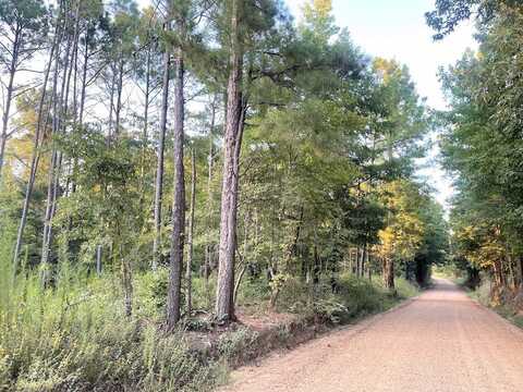 0 Pisgah Rd, Weir, MS 39772