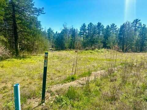 N 4399 Rd Kiamichi Hills, Nashoba, OK 74558