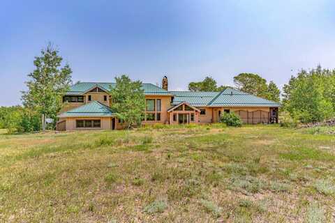 181 S HENNEQUIN CREEK DRIVE, Westcliffe, CO 81252