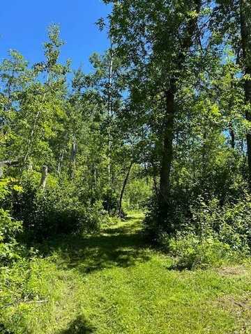 Lot 16 Hartley Shores Road, Dunseith, ND 58329