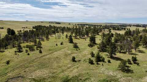 01 Cattle Circle, Ramah, CO 80832