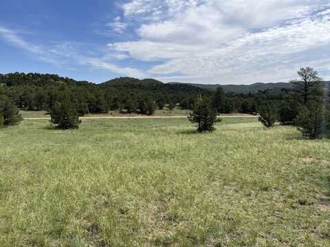 1012 Iron Mountain Road, Cotopaxi, CO 81223