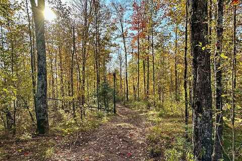 Lot C Bear Lake Road, Butternut, WI 54514