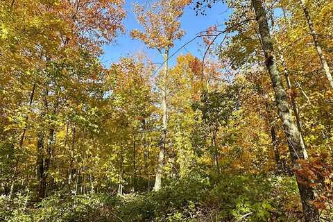 Lot C Bear Lake Road, Butternut, WI 54514