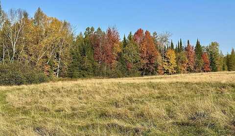 Lot A Bear Lake Road, Butternut, WI 54514