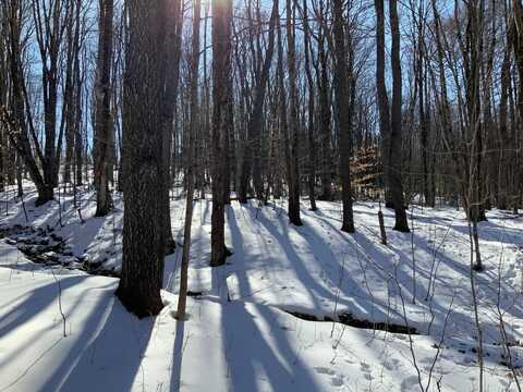 00 Cuyler Hill Rd, Cuyler, NY 13158