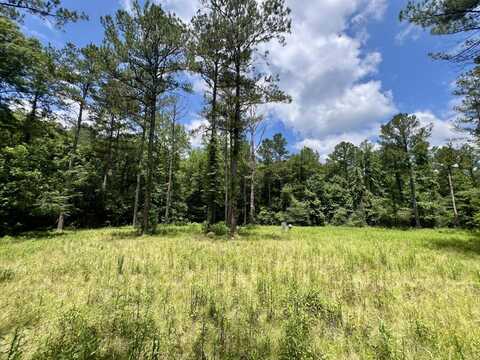 0 County Road 42, Tunnel Springs, AL 36471