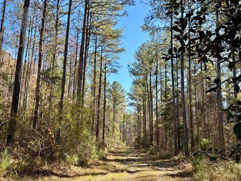 0 County Road 42, Tunnel Springs, AL 36471