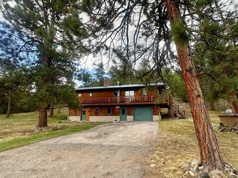 21501 Chalk Creek Dr, Nathrop, CO 81236