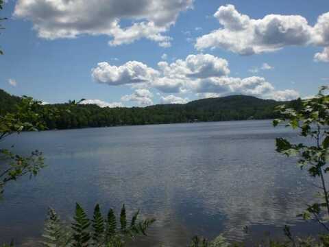 370 East Stoner Lake Rd Ext, Caroga Lake, NY 12032