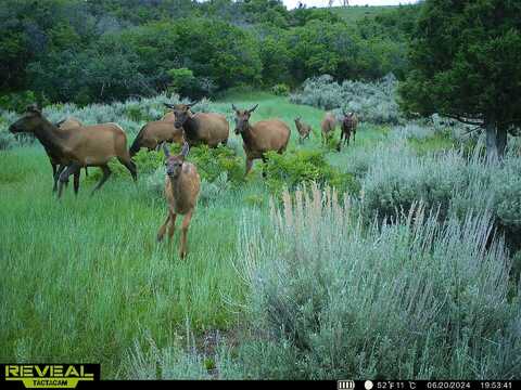 TBD Highway 13 South, Meeker, CO 81641