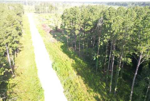 Butterbean Ridge Lot 3, Livingston, LA 70754