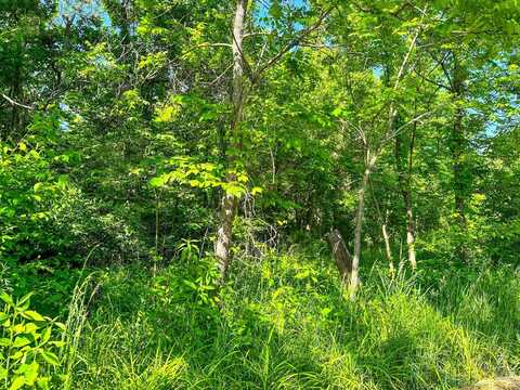 0 Fisher Ridge Rd Tract 4, Fleming, OH 45729