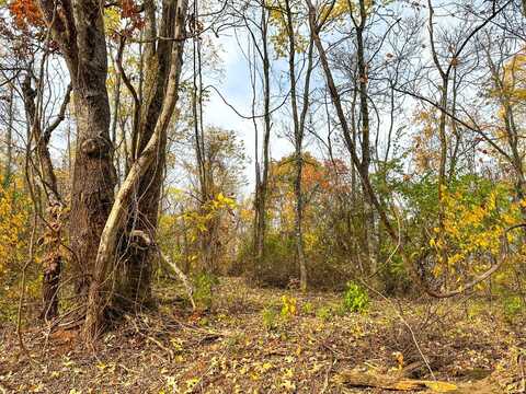 0 Fisher Ridge Rd Tract 4, Fleming, OH 45729