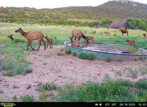12630 CR 175, Kim, CO 81049
