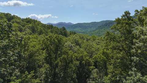 181 Ironwood Lane, Black Mountain, NC 28711