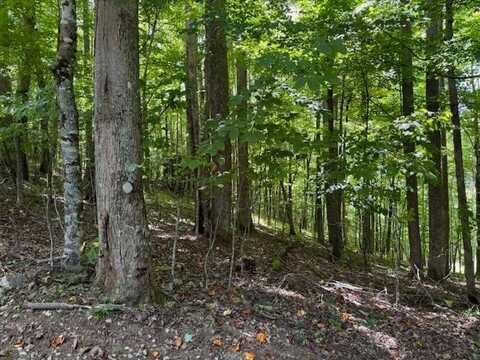 tbd Poplar Dr, Elk Park, NC 28622