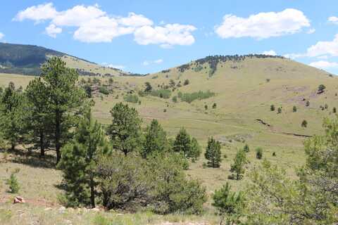 4601 COUNTY ROAD 16, Cotopaxi, CO 81223