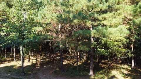 1 Highway 15, Noxapater, MS 39346