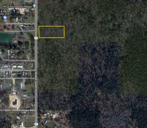 Tract 4 Walker S Rd., Walker, LA 70726