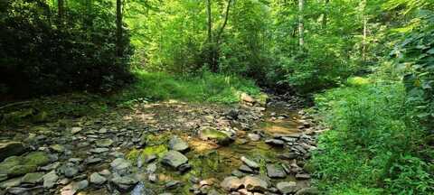 Camp Creek Trail, Flat Top, WV 25841