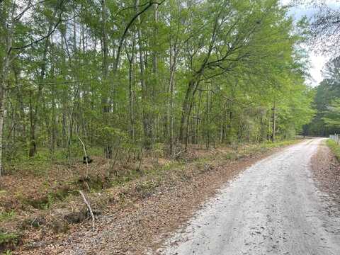 TBD Preston Drive Lot 1, Ridgeland, SC 29936