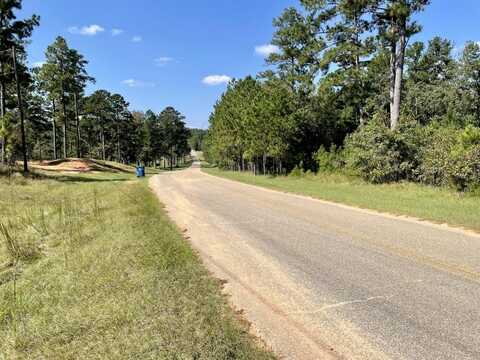 0 Bridlepath Road Lot J, Jackson, AL 36545