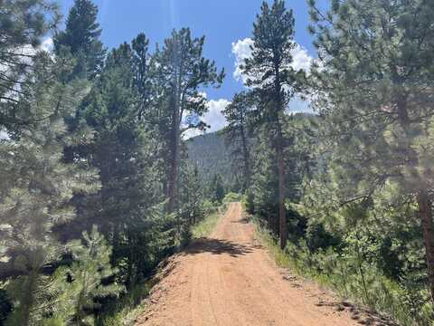 5330 Chipita Pines Drive, Cascade, CO 80809