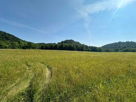 0 Lawson Bottom Rd, Burkesville, KY 42717