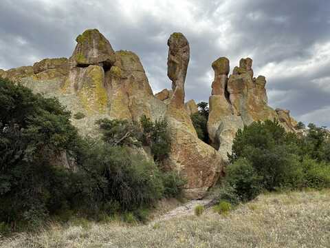 XX C Bar Ranch Rd., SILVER CITY, NM 88061