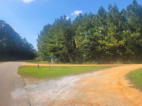 0 County Road 17 Tract D, Autaugaville, AL 36003