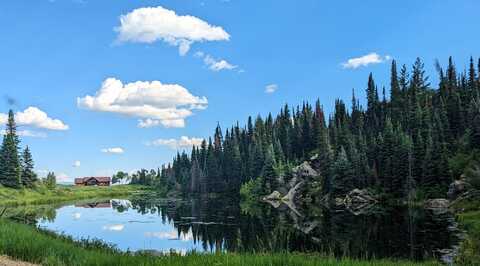 TBD Tow Creek Road, Steamboat Springs, CO 80487