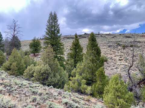 Little Boy and Mayflower Mining Claims, Gunnison, CO 81230