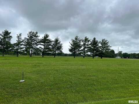 Lot 21 Guinan Street, Petersburg, IL 62675