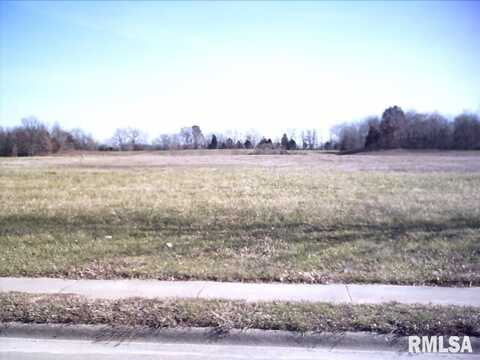 Lot 11 FINANCIAL Drive, Carbondale, IL 62901