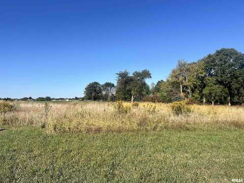 Lot 84 Kyle Court, Metamora, IL 61548