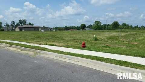 Lot 8 FINANCIAL Park, Carbondale, IL 62901