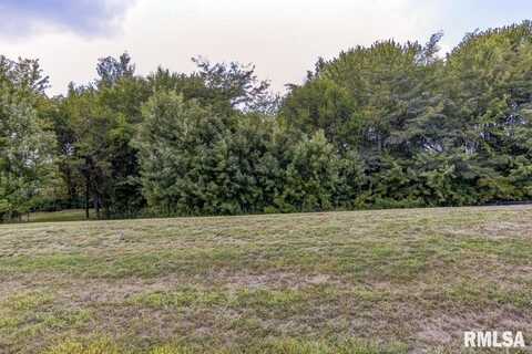401 RAMBLEWOOD Road, Chatham, IL 62629