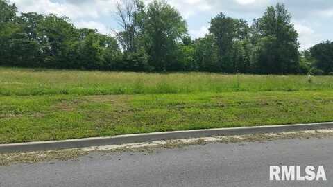 Lot 2 FINANCIAL Park, Carbondale, IL 62901