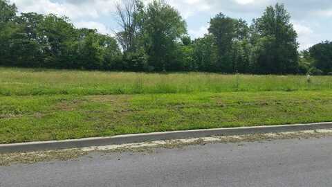 Lot 3 FINANCIAL Park, Carbondale, IL 62901