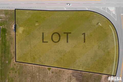 Lot 1 ROUTE 29, Taylorville, IL 62568