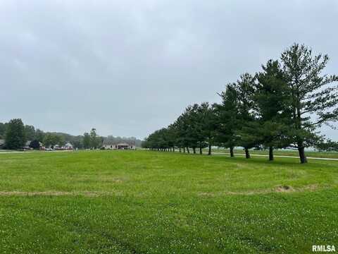 Lot 22 Guinan Street, Petersburg, IL 62675