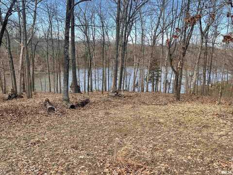 Lot 76 & 77 Saluki Way, Goreville, IL 62939