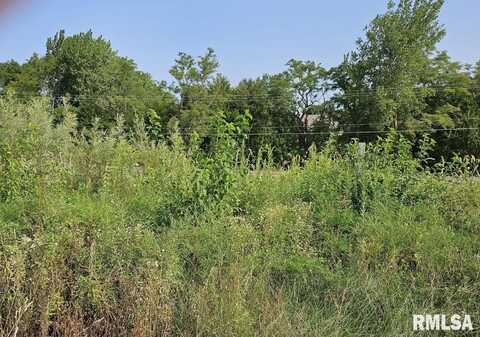 Lot 100 BRITTANY Court, Metamora, IL 61548