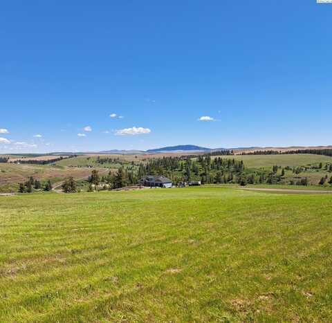 Lot 9 Red Tail Ridge, Colfax, WA 99111