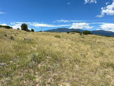 Pinto Dr lot: 106, Colorado City, CO 81019