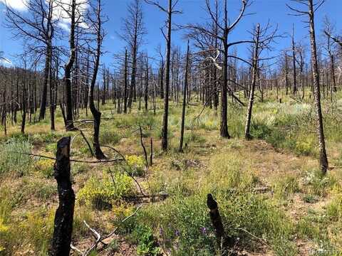 323 Wagon Mesa Loop, Fort Garland, CO 81133