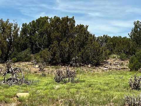 La Deora Blvd lot: 589, Walsenburg, CO 81089